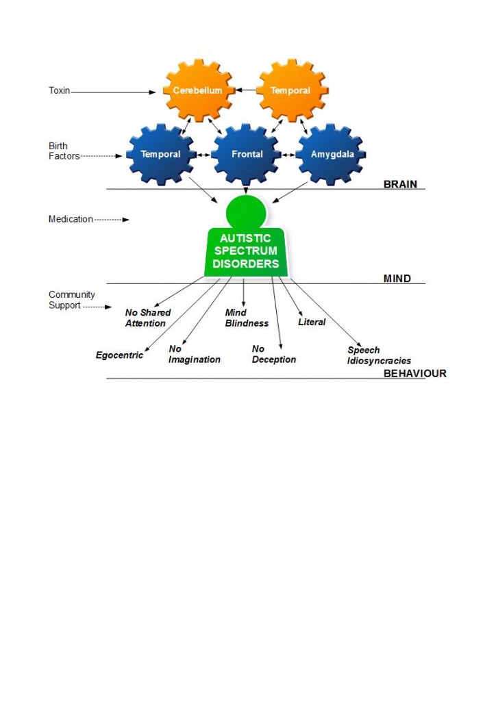 A causal model of ASD