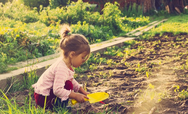Torden Wade effektivt Nature Activities for Kids: Ideas for Exploring Outdoors